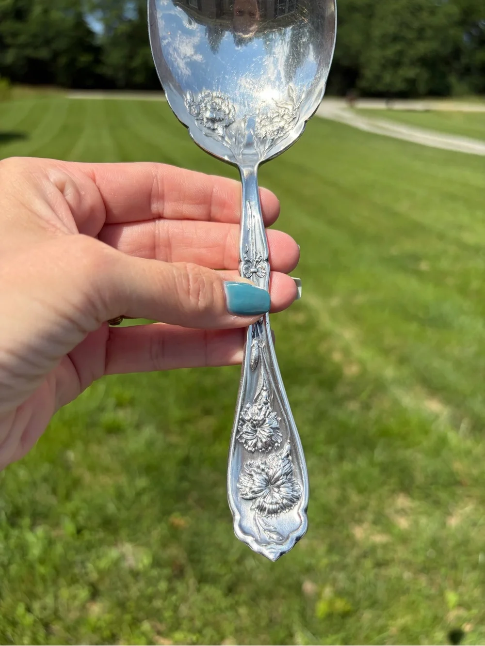 WR Keystone Oneida Silverplate Carnation 8.75 Inch‎ Solid Smooth Casserole Spoon